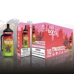 BANG Vape TN 12000 12K Puffs