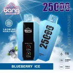 Bang 25000 25K Puffs Vape 12 Flavors