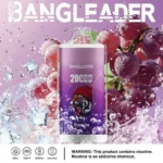 Bang Leader 20K Puffs Disposable Vape Dual Mesh Tiger Design  Shipping from EU Warehouse 1