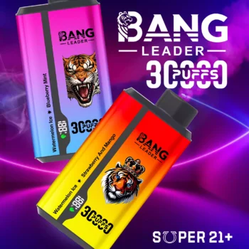 Bang Leader 30000 Puffs Disposable Vape 2-in-1 Dual Flavor