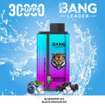 Bang Leader 30000 Puffs Disposable Vape 2-in-1 Dual Flavor