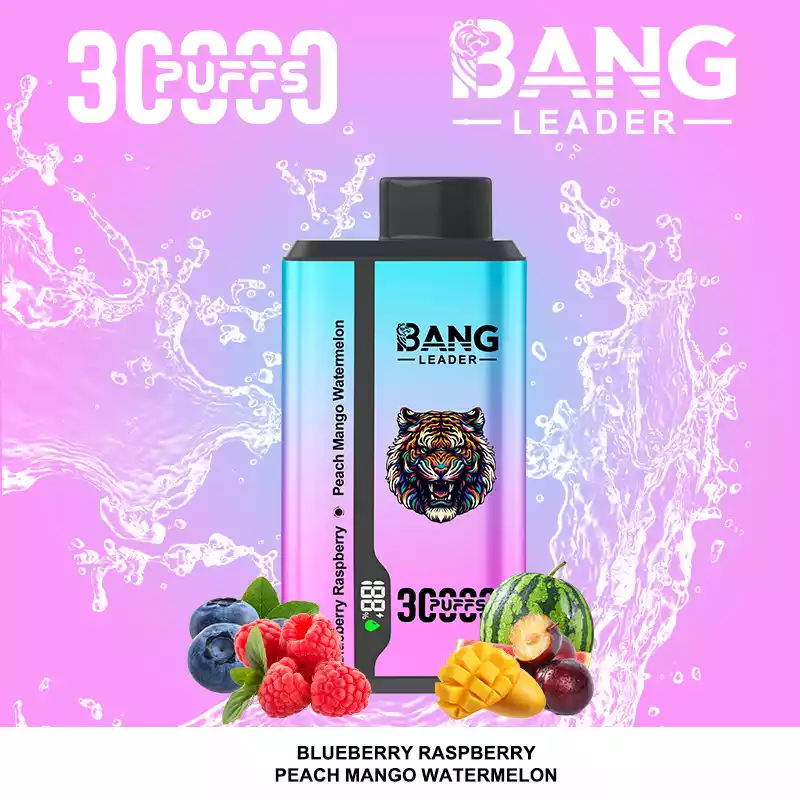 Bang Leader 30000 Puffs Disposable Vape 2-in-1 Dual Flavor Blueberry Raspberry & Peach Mango Watermelon Bang Leader 30000 Puffs Disposable Vape 2-in-1 Dual Flavor Blueberry Raspberry & Peach Mango Watermelon