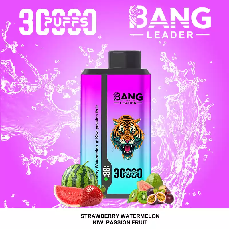 Bang Leader 30000 Puffs Disposable Vape 2-in-1 Dual Flavor Strawberry Watermelon & Kiwi Passion Fruit Guava Bang Leader 30000 Puffs Disposable Vape 2-in-1 Dual Flavor Strawberry Watermelon & Kiwi Passion Fruit Guava