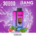 Bang Leader 30000 Puffs Disposable Vape 2-in-1 Dual Flavor