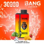 Bang Leader 30000 Puffs Disposable Vape 2-in-1 Dual Flavor