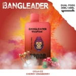 Bang Leader 32K Vape Dual Flavor 32000 Puffs Disposable Vape EU Warehouse Fast Shipping