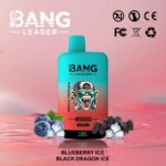 Bang Leader 45K Vape Dual Flavor LED Screen 45000 Puffs Disposable Vape EU Warehouse Shipping