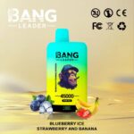 Bang Leader 45K Vape Dual Flavor LED Screen 45000 Puffs Disposable Vape EU Warehouse Shipping