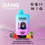 Bang Leader 45K Vape Dual Flavor LED Screen 45000 Puffs Disposable Vape EU Warehouse Shipping