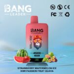 Bang Leader 45K Vape Dual Flavor LED Screen 45000 Puffs Disposable Vape EU Warehouse Shipping