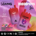 Bang Leader 80K Vape 3-in-1 Flavor 80000 Puffs Disposable Vape EU Warehouse Shipping
