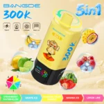 Bang DE 300K Vape 5in1 Flavors Main Image