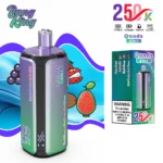 Bang-King-250K-4-in-1-main-picture